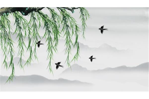 描写柳树的诗句