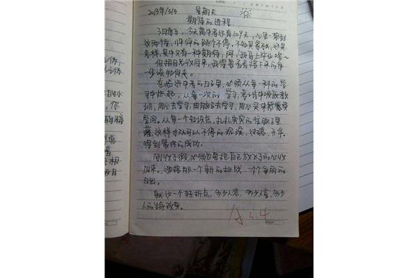 周记300字大全