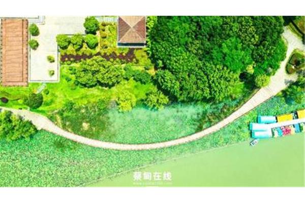 武汉绿色共享单车