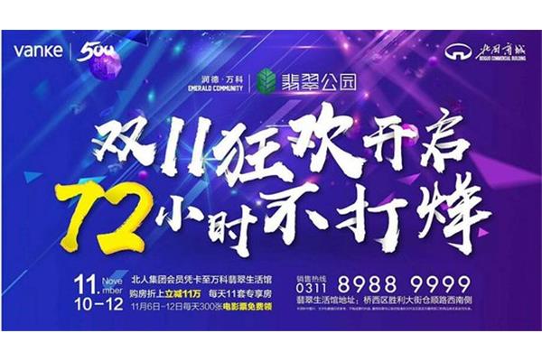 双11活动方案