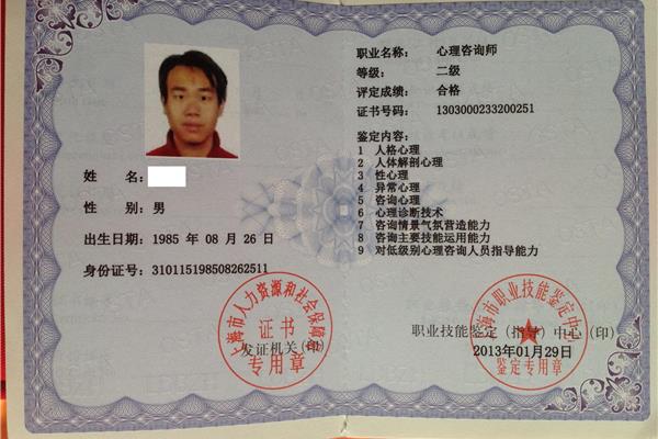 国家心理咨询师