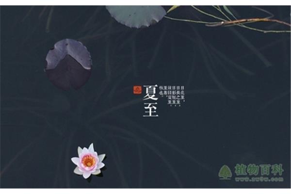 24节气名称