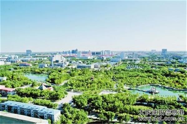 大庆信息港
