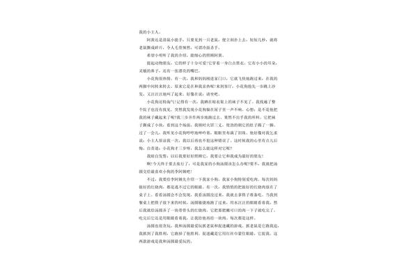 我们的什么作文
