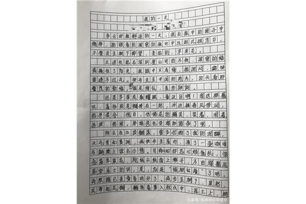 我们的什么作文