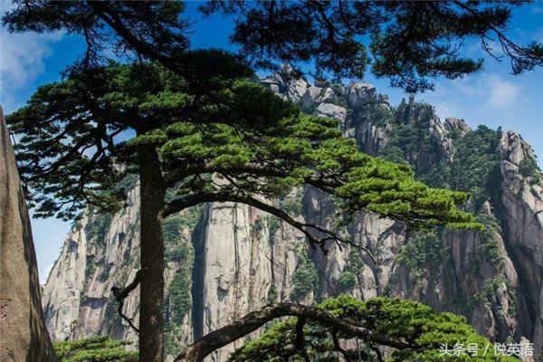 赞美黄山的诗句