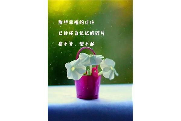 人生经典语录