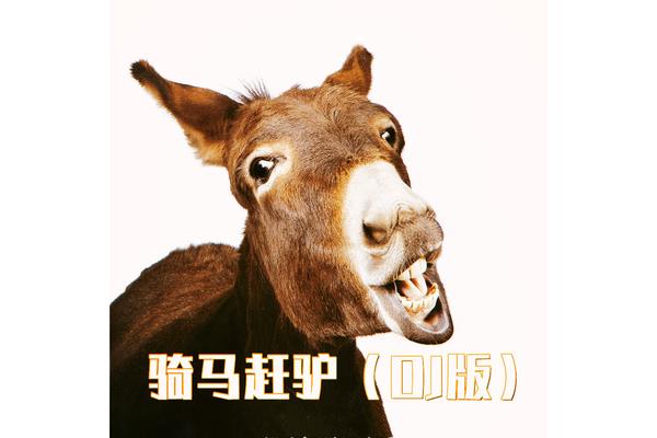 骑马赶驴视频