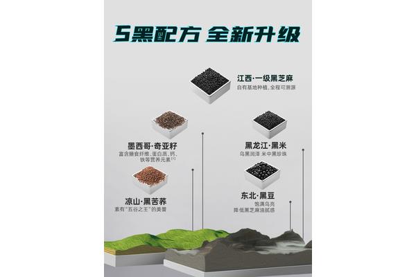 黑芝麻科技
