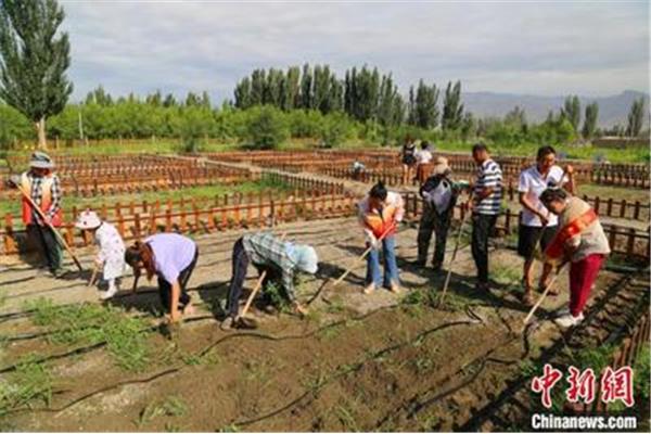 新疆建设兵团招聘