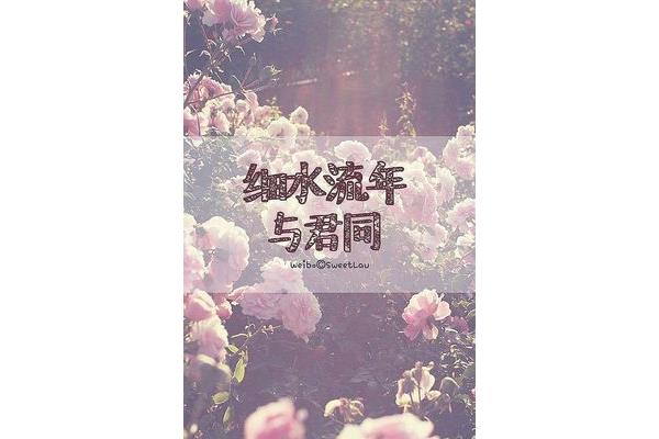 细水流年与君同
