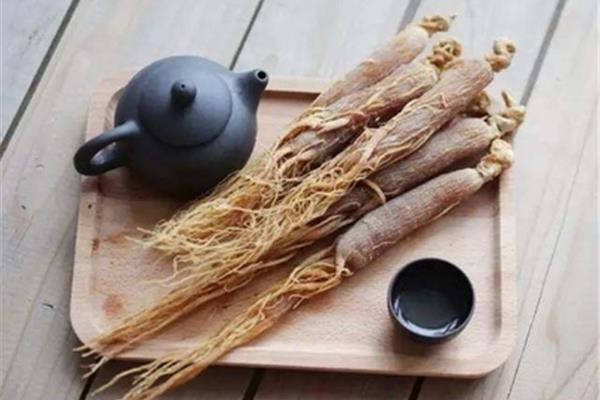 肺气虚怎么补
