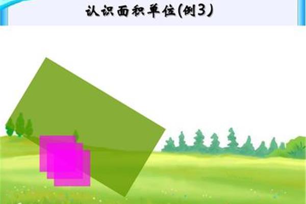 面积的认识