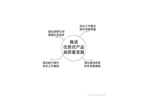 公司战略规划