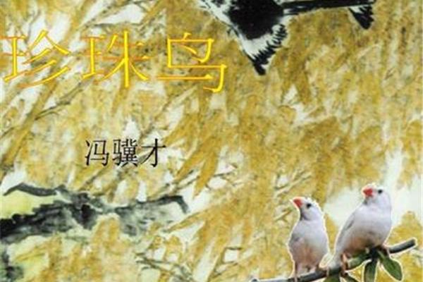 冯骥才珍珠鸟