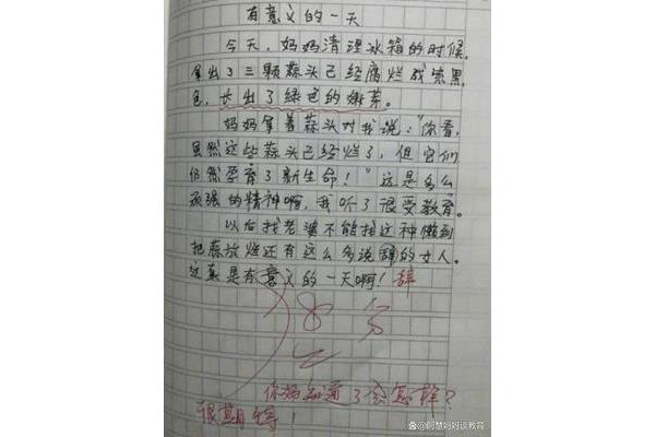 我们的什么作文