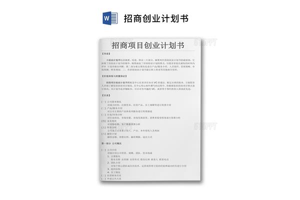 项目摘要怎么写