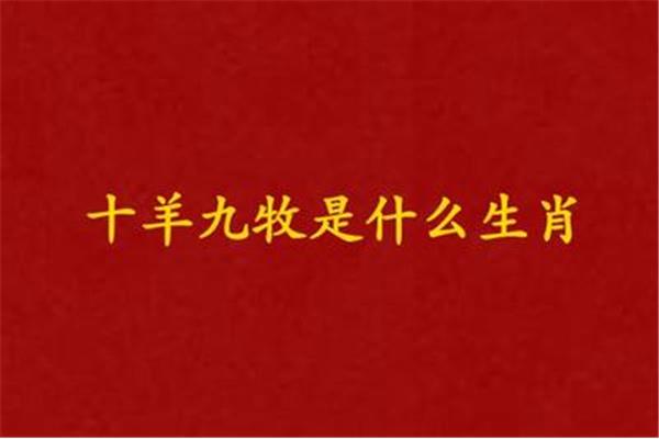 十羊九牧打一生肖