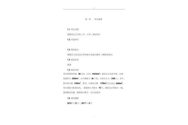 项目摘要怎么写