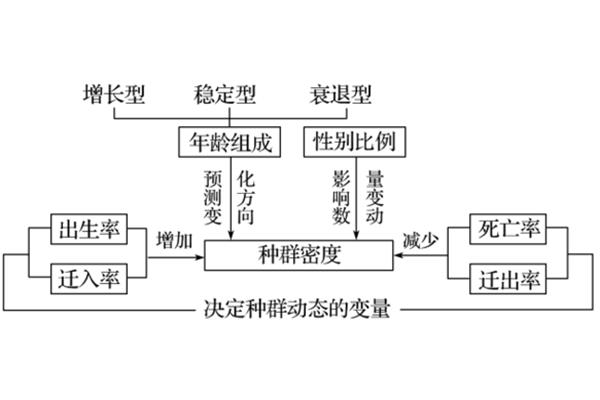 联系的特点
