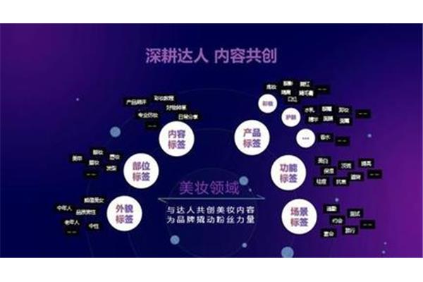 营销策划案例