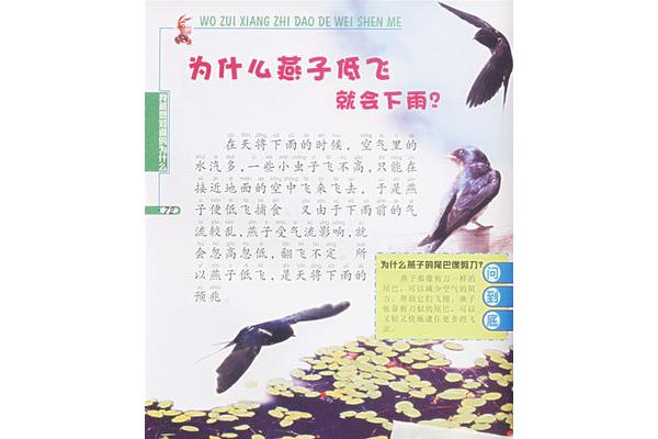 燕子低飞的原因