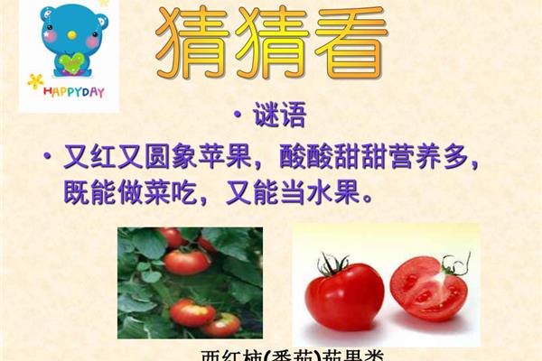 苹果的谜语