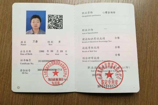国家心理咨询师