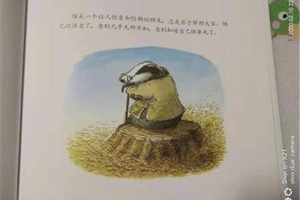 獾的礼物绘本
