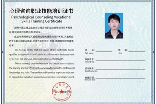 国家心理咨询师