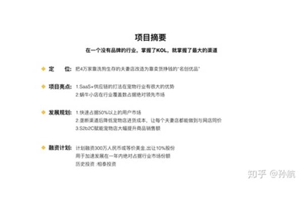 项目摘要怎么写