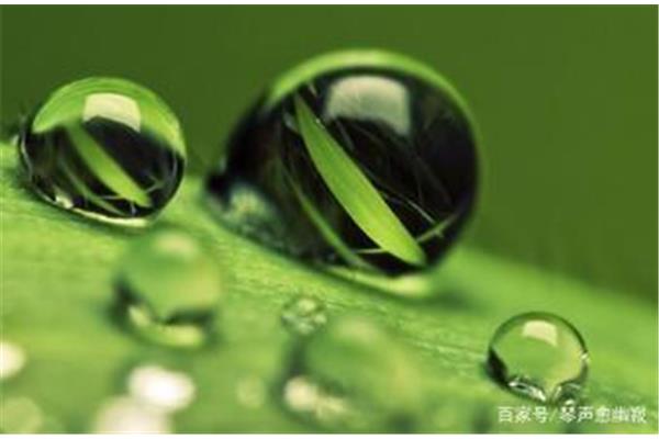 形容雨的词