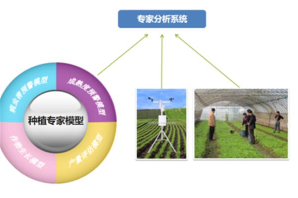 农业信息化