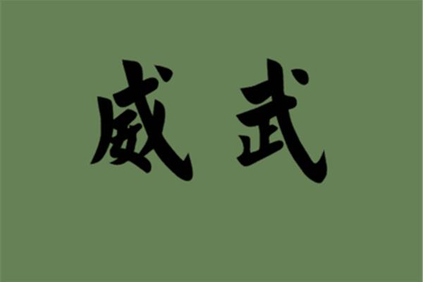 威武的反义词