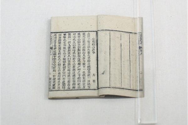左忠毅公逸事