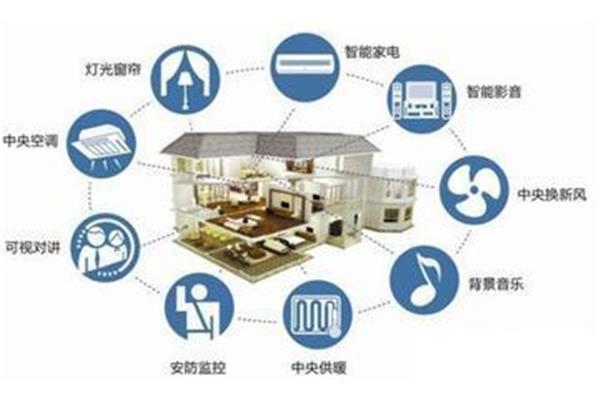 受精卵发育过程