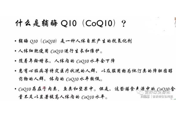 coo是什么意思