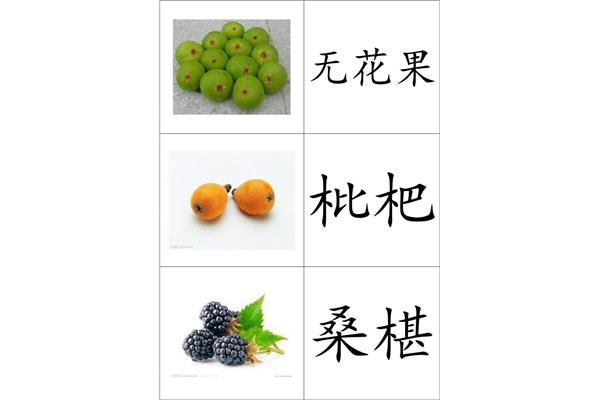 幼儿识字大全