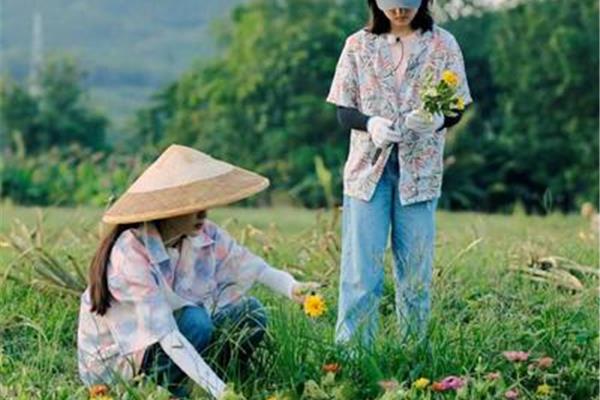 摘花的摘怎么写