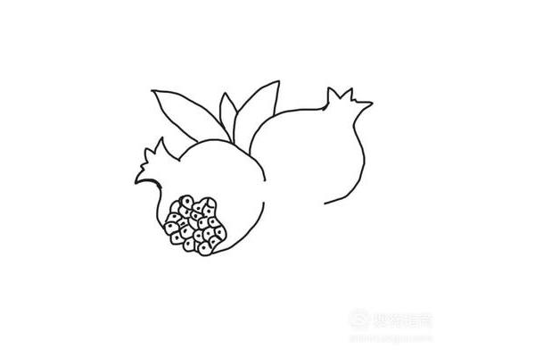 石榴怎么画