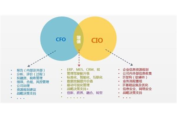 coo是什么意思