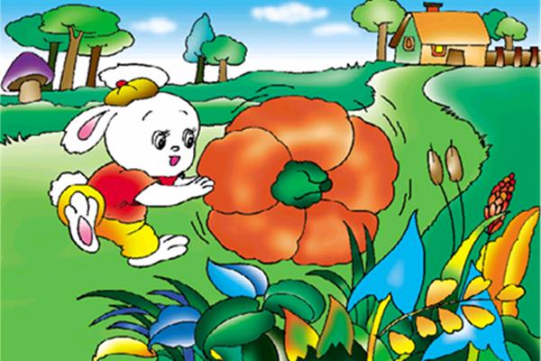 小兔运南瓜