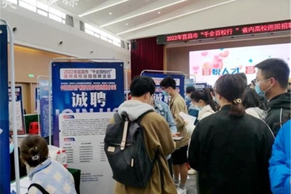高校人才招聘网