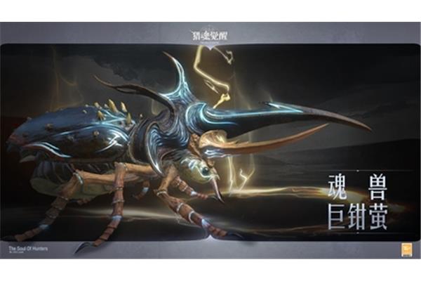 真实与虚幻