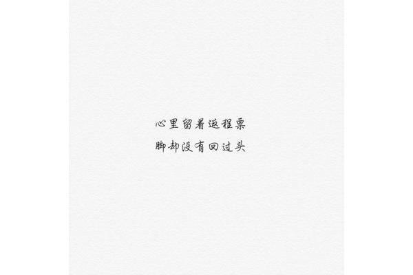 表达返程的句子