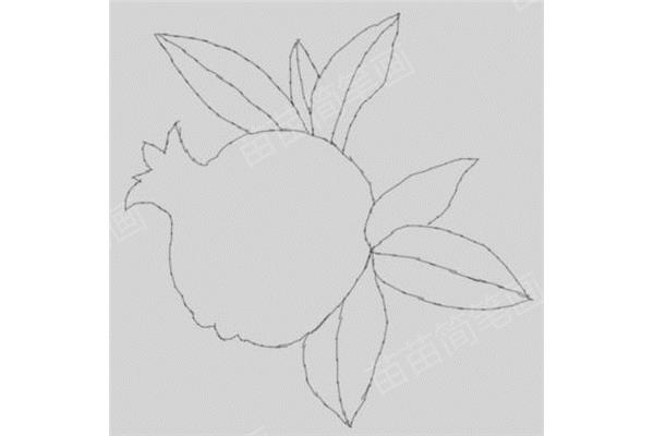 石榴怎么画