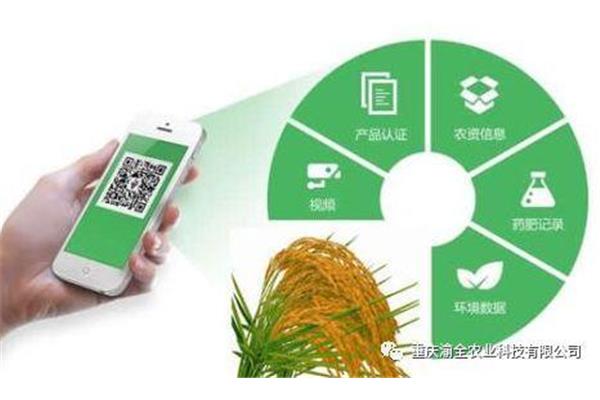 农业信息化