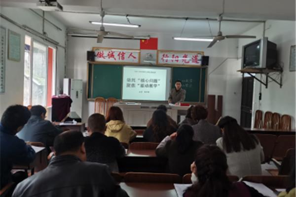 教师专业发展培训