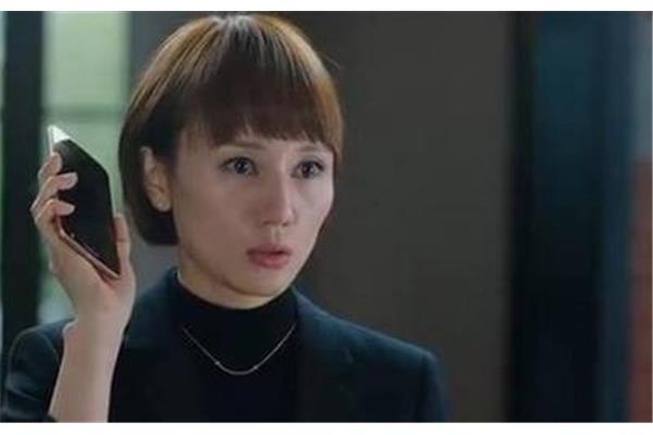 我的前半生的评价