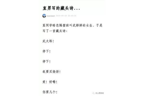 骂人的藏头诗